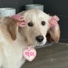 немощная псина 的头像