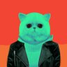 Bay Başkan Perry's profile picture