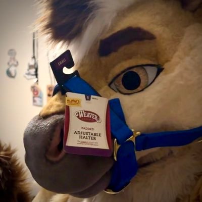 GraniteTheHorse's profile picture