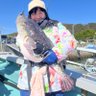 ゆーか丼🐸あんこうアワーズ's profile picture