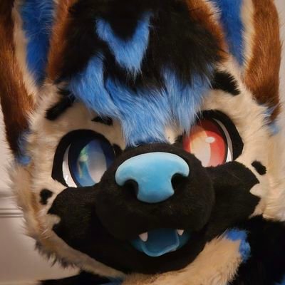 mira🔜FWA's profile picture
