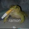 Profilbild von NHT