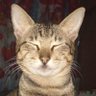 mac's profile picture