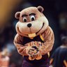 Goldyโs Burner's profile picture