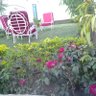 Rashed Arbab's profile picture