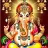 Profilbild von Praveen Kumar Goyal