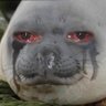 Profilbild von 别怕纸老虎