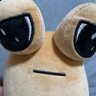 Profilbild von pou