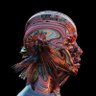 thedalaman's profile picture