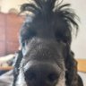 Berry's profile picture
