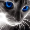 YYDS's profile picture