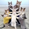 mjxx's profile picture