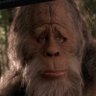 steelcityBigfoot 的头像