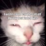arthouseporn's profile picture