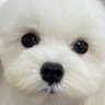 ぬ profil fotoğrafı