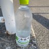 サイバーくにぽん profil fotoğrafı