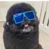 BlueOysterCargoCult's profile picture