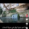 free libya 的头像