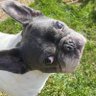 Milly profil fotoğrafı