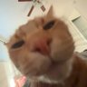 Brennyn profil fotoğrafı