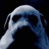 yungnxxdl3's profile picture