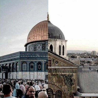 osama_9126's profile picture