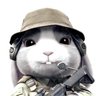 Rabbit profil fotoğrafı