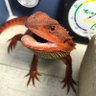 Фото профиля なみ【トゲトゲ屋】