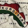 Kurd sena's profile picture