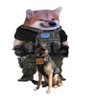 Profilbild von PK186