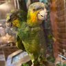 Фото профиля Jenny Tripp
