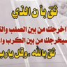 Profilbild von ALI Almalahi