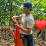 alexis's profile picture