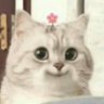 Profilbild von Michita