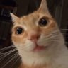 er's profile picture