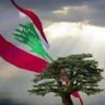 Mahmoud Kaddour 的头像