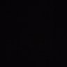 Tris Kimura's profile picture