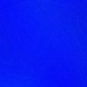 Nellz's profile picture
