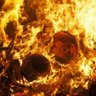 ダルマ大師 専制国家日本を民主主義国へ profil fotoğrafı