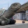㈱ま(特異集団ではありません) profil fotoğrafı