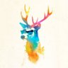 Deer 的头像