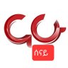 ቆንጆዎቹ profil fotoğrafı