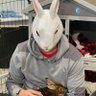 Фото профиля White rabbit 🐰