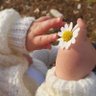 رحيق 🌻 的头像