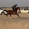 حسن سعود العجمي profil fotoğrafı