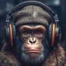 Monkey profil fotoğrafı