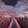 万年ベンチ profil fotoğrafı