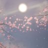 Profilbild von Dewdrop