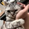 Kelvin profil fotoğrafı