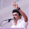 Profilbild von Mallikarjunan Muthuswamy